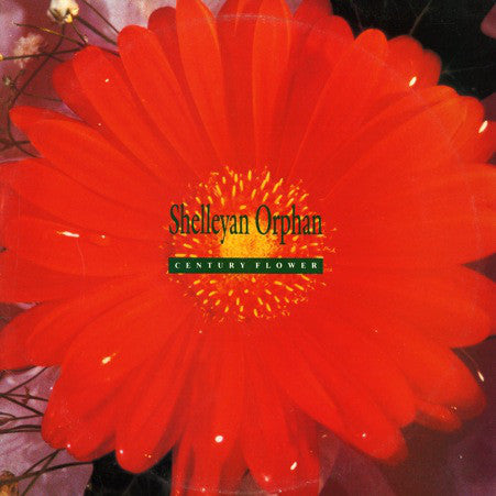 Shelleyan Orphan – Century Flower - 1989- Indie Rock (vinyl) New / Sealed