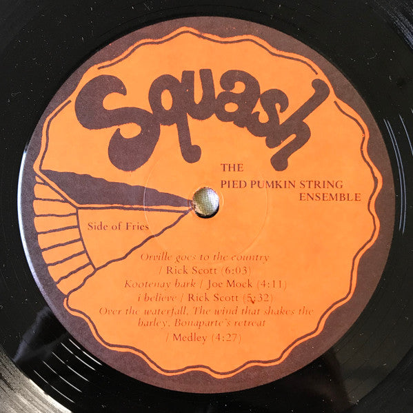 The Pied Pumkin String Ensemble -The Pied Pumkin String Ensemble 1975-Folk, Folk Rock (vinyl)