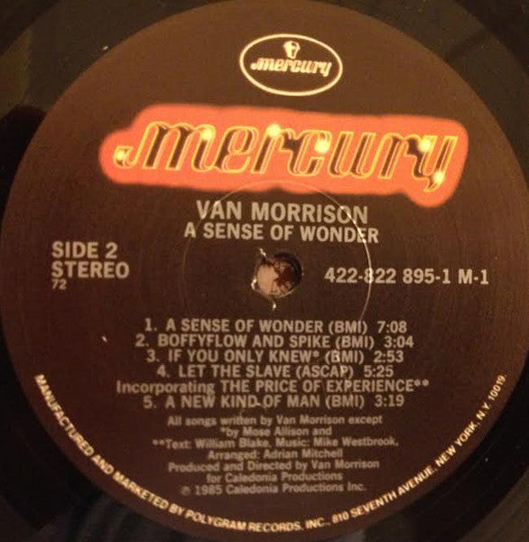 Van Morrison - A Sense Of Wonder -1984-Folk Rock, Soft Rock, Jazz-Rock (vinyl) NM