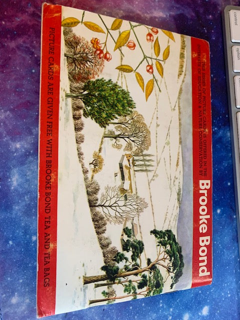 1966 Brooke Bond " Trees of Britain " Tea Book ( complete with all Cards 1-50 ) the UK