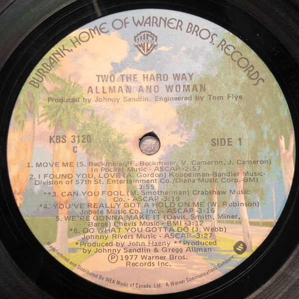 Allman And Woman – Two The Hard Way - 1977-  Electronic, Rock, Funk / Soul, Blues, Pop Style: Southern Rock (Vinyl)