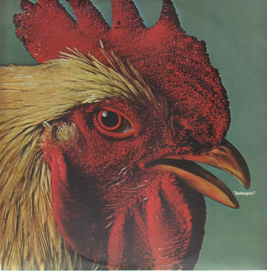 Ambergris ‎– Ambergris - 1970 Classic Rock - Vinyl) note cover condition