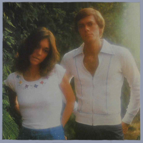 Carpenters ‎– Horizon - 1975 - Jazz Rock (vinyl) NM