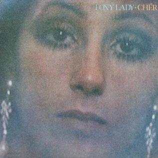 Cher ‎– Foxy Lady - 1972- Folk Rock, Soft Rock (vinyl)