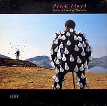 Pink Floyd ‎– Delicate Sound Of Thunder -2 lps-1988- Classic Rock, Psychedelic Rock, Prog Rock (vinyl)