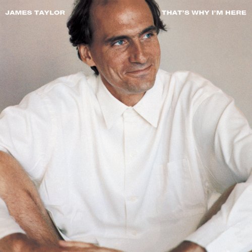 James Taylor *That's Why I'm Here* Folk Rock (clearance vinyl) Bargain Bin