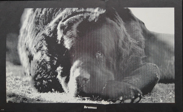 Jefferson Airplane - Crown of Creation -1968- Psychedelic Rock, Classic Rock (vinyl)