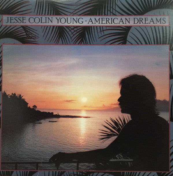 Jesse Colin Young ‎– American Dreams -1978-Folk Rock (vinyl)
