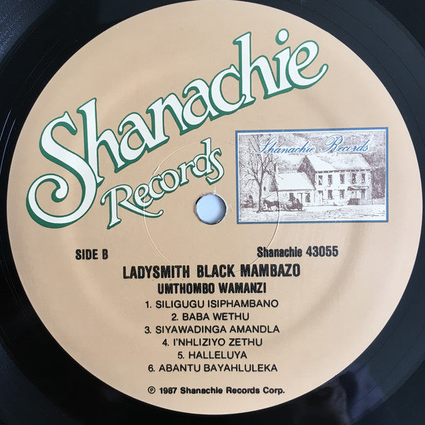 Ladysmith Black Mambazo ‎– Umthombo Wamanzi - 1988- Pop, Folk, World, & Country ,Vocal, African (vinyl)