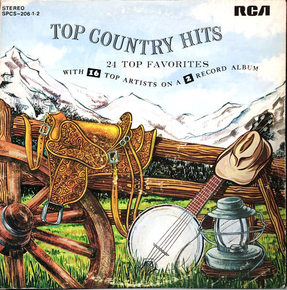Various – Top Country Hits 24 Top Favorites – 1969 – Country (vinyl lp)