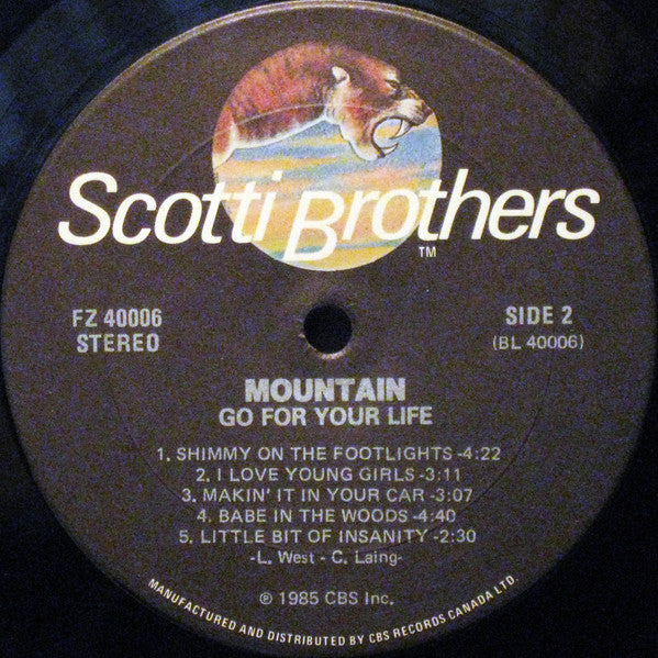 Mountain – Go For Your Life 1985-Rock Style: Hard Rock (vinyl)