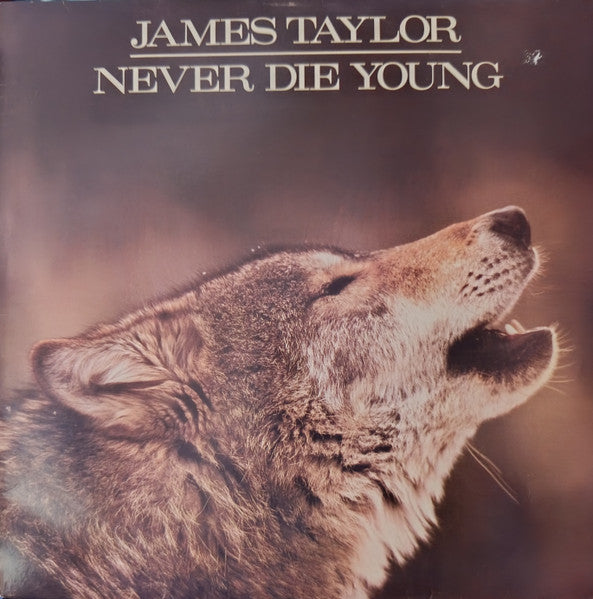 James Taylor – Never Die Young – 1988 – Soft Rock (vinyl lp)