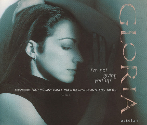 Gloria Estefan - I'm Not Giving You Up cover