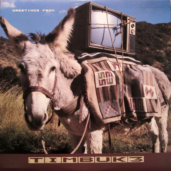 Timbuk 3 – Greetings From Timbuk 3 – 1986 – New Wave / Indie Rock (vinyl lp)