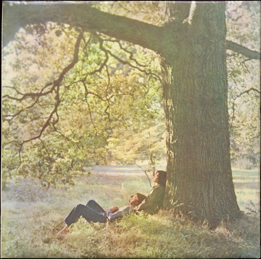 John Lennon & Plastic Ono Band ‎– John Lennon / Plastic Ono Band Rock Pop (vinyl) worn on lower cover