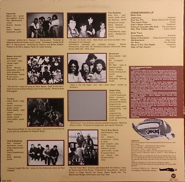 Various Artists – Homegrown Project Vol. 1 (Rock / Local Compilation, Vinyl LP) Q104