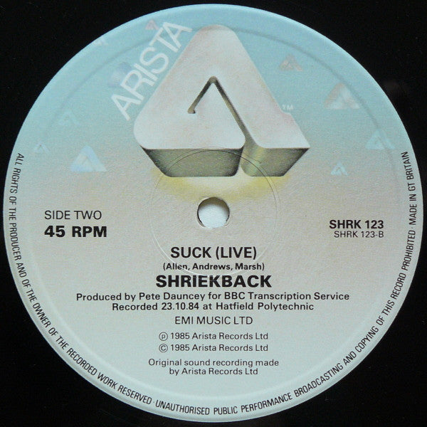 Shriekback – Nemesis (Extended) - 1985- Synth-pop, New Wave 2 x Vinyl, 12", 45 RPM, Single, Limited Edition