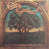Steeleye Span ‎– Now We Are Six -1974 Classic Rock (vinyl)