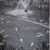 The Flamingos ‎– Dream of a Lifetime - 1977- Doo Wop (Vinyl)