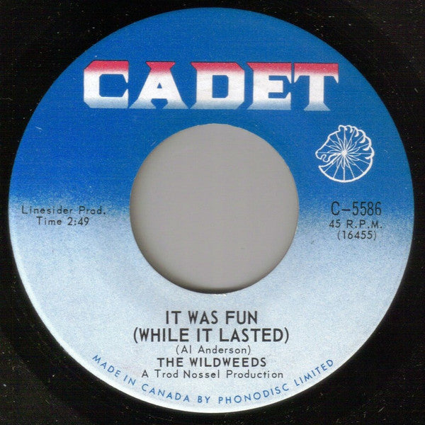 The Wildweeds – It Was Fun (While It Lasted) / Sorrow's Anthem - 1968-Fun  / Soul (45single)
