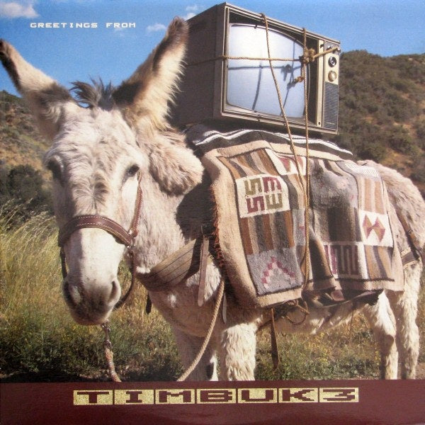 Timbuk 3 ‎– Greetings From Timbuk 3 -1986 -  Indie Rock (Vinyl)