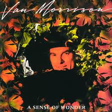 Van Morrison - A Sense Of Wonder -1984-Folk Rock, Soft Rock, Jazz-Rock (vinyl) NM