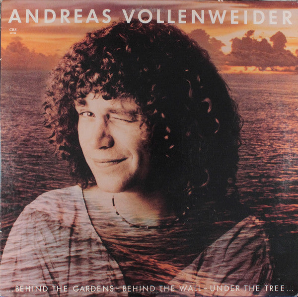 Andreas Vollenweider ‎– ... Behind The Gardens - Behind The Wall - Under The Tree ...( vinyl)
