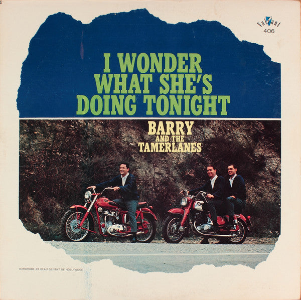 Barry And The Tamerlanes ‎– I Wonder What She's Doing Tonight -1963-Rock, Pop , Beat, Surf (Rare Vinyl)