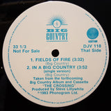 Big Country – In A Big Country -1983-pop rock - Vinyl, 12", Promo, 33 ⅓ RPM