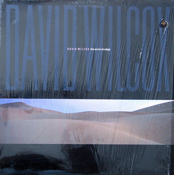 David Wilcox  ‎– The Natural Edge - 1989- Blues Rock (vinyl)