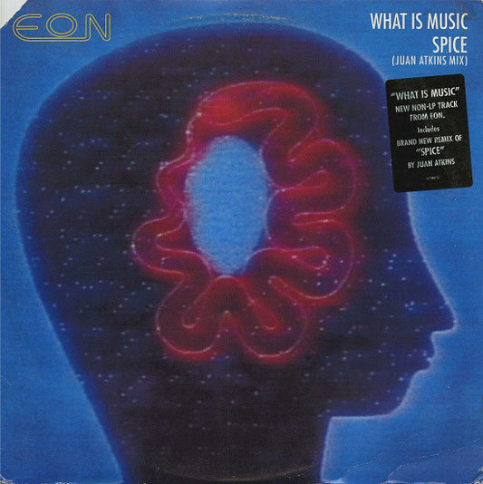 Eon ‎– What Is Music / Spice (Juan Atkins Mix) - 1992  Electronic techno (vinyl)