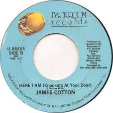 James Cotton ‎– Part Time Love - 12 Funk / Soul Single -  Backroom Records (vinyl)
