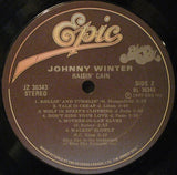 Johnny Winter - Raisin Cain -1980 Blues Rock (vinyl)