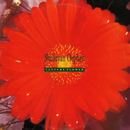 Shelleyan Orphan ‎– Century Flower - 1989- Indie Rock (vinyl) New / Sealed