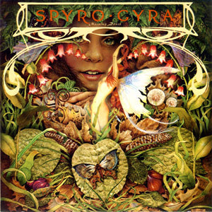 Spyro Gyra ‎– Morning Dance -1979 - Jazz (vinyl)