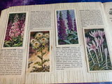 Brooke Bond Wild Flowers Series 1. 1955 - 47 Of 50 Tea Cards Plus Book Rare