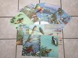 Traveling With the Birds, Pictures in Full Color By Walter Weber -12 prints