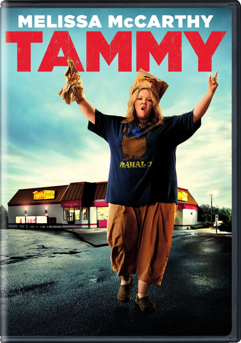 Tammy  DVD -Melissa McCarthy (Actor, Producer), Susan Sarandon (Actor)